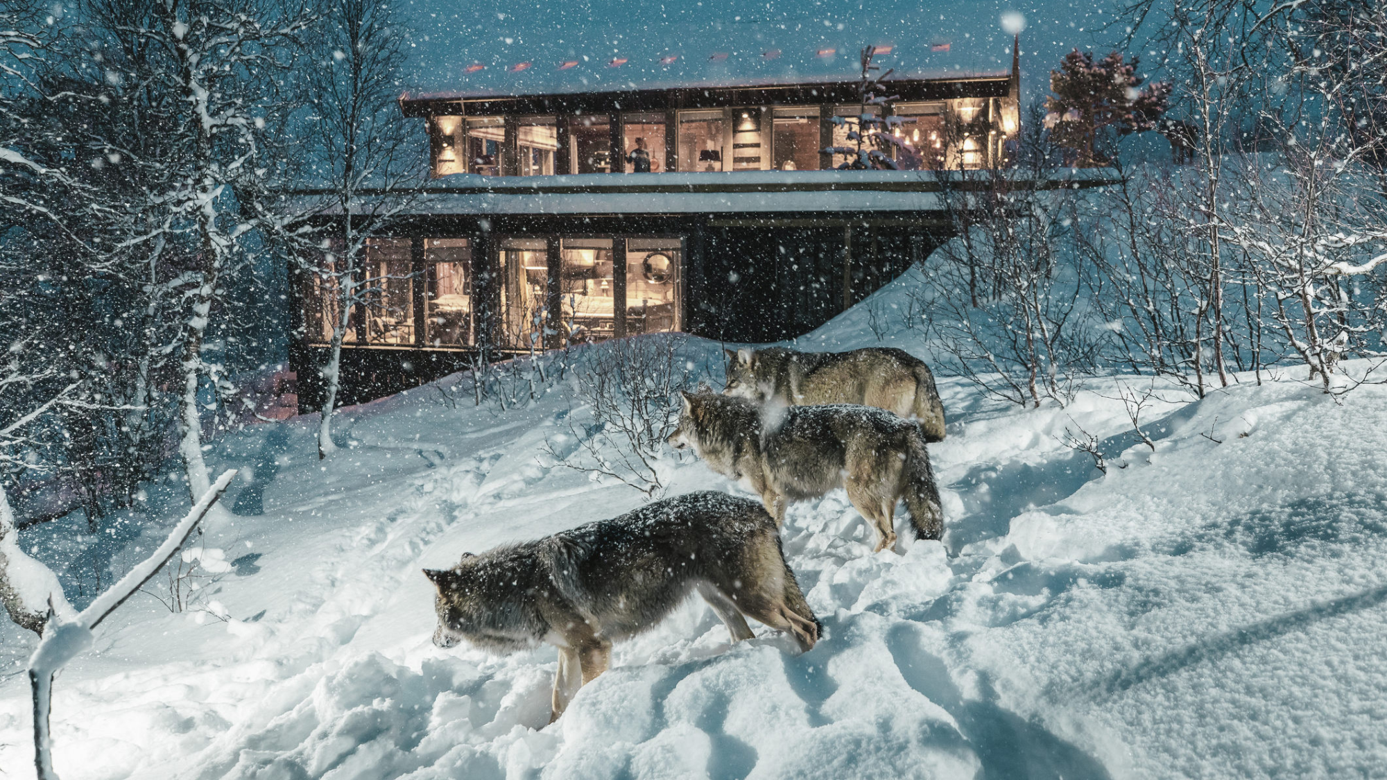 Norway Reimagined: Immersive Winter and Summer Journeys Beyond the